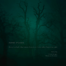 david_sylvian_theres_a_light_that_enters_houses_with_no_other_house_in_sight